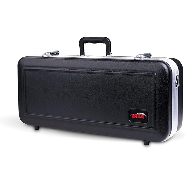 Amazon.com: Protec Micro ZIP Flute/Piccolo Combination Case, Black